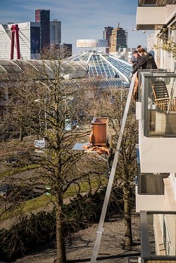 Huis ontruimen centrum Rotterdam